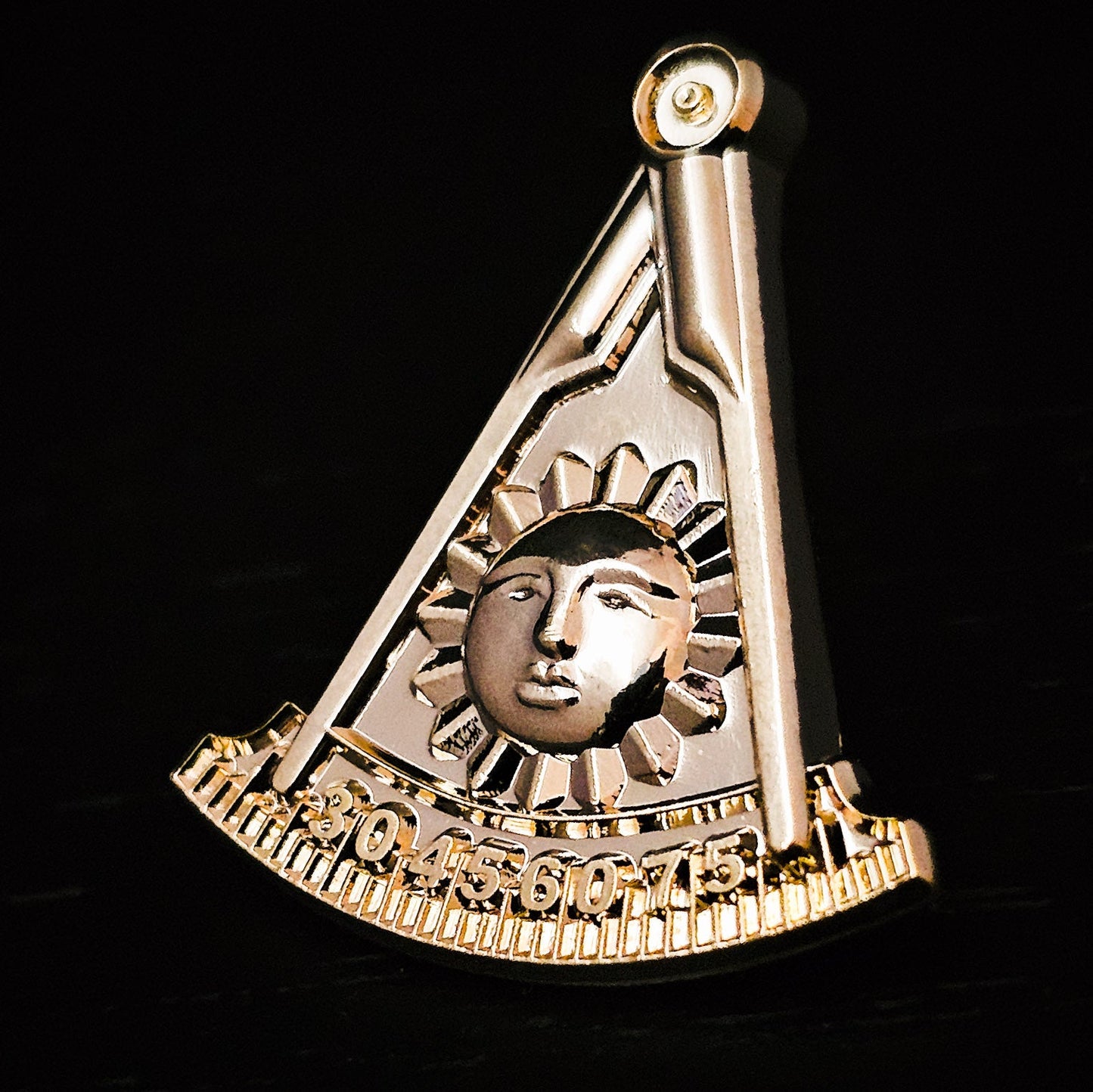 Past Master Emblem – Compass Quadrant & Sun Lapel Pin Lapel Pin
