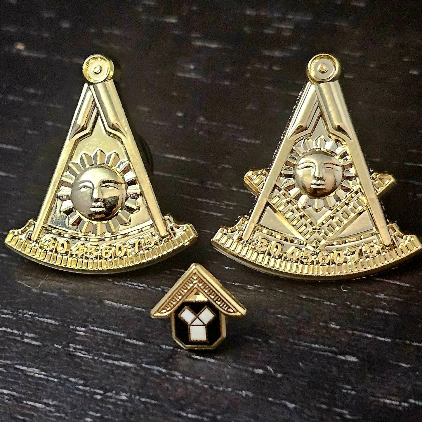 Past Master Emblem Lapel Pin